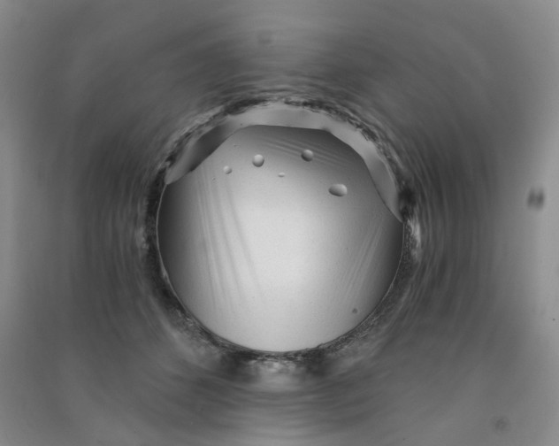 X0000090920512200708201809