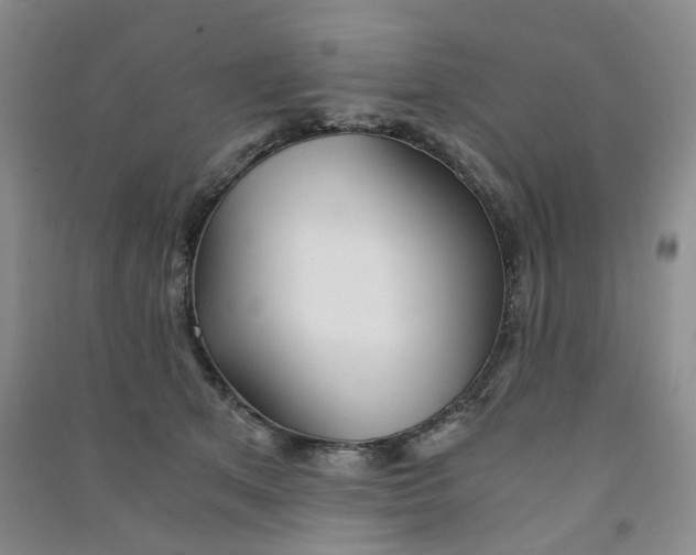 X0000090920513200708201809