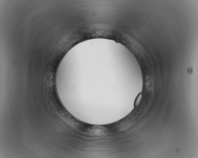 X0000090920514200708201809