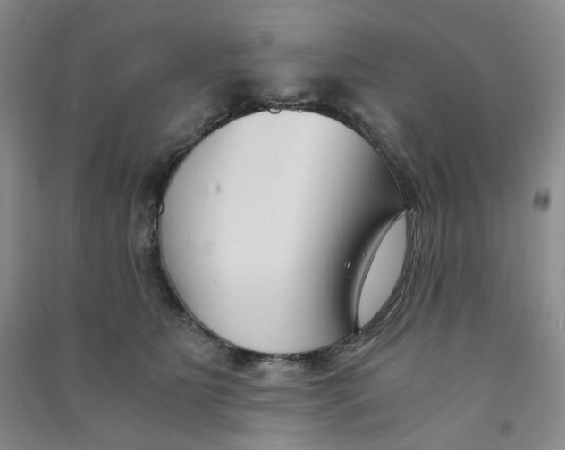 X0000090920515200708201809