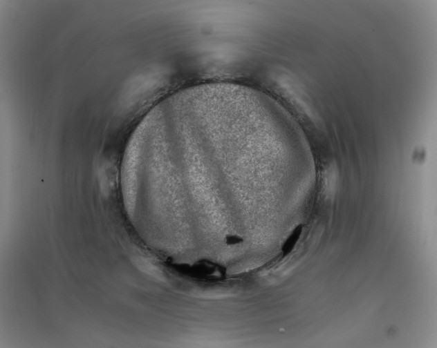 X0000090920517200708201809