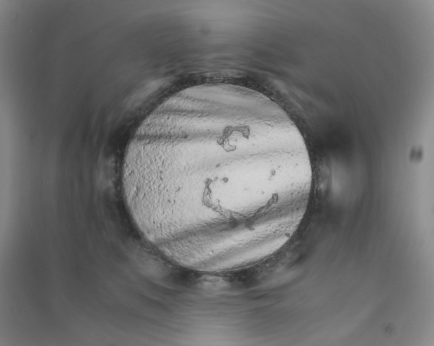 X0000090920519200708201809