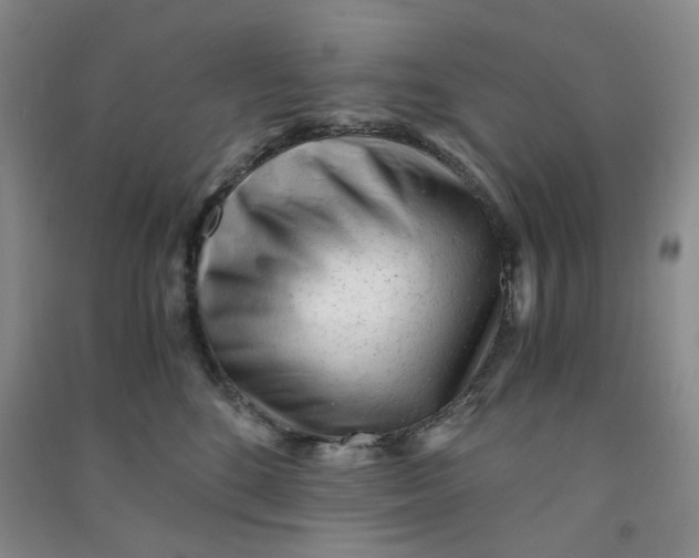 X0000090920520200708201809