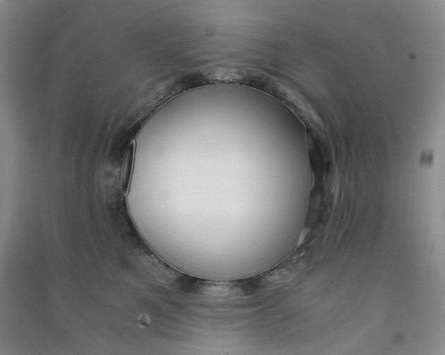 X0000090920521200708201809