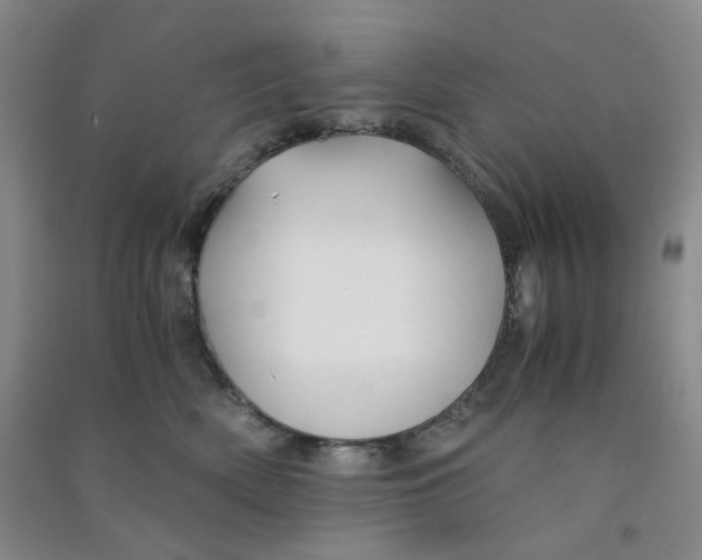 X0000090920522200708201809