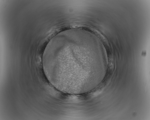 X0000090920523200708201809