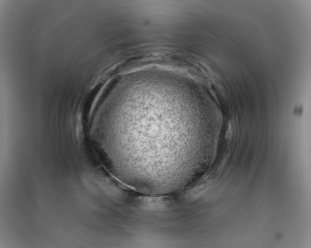 X0000090920524200708201809