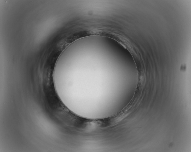 X0000090920525200708201809