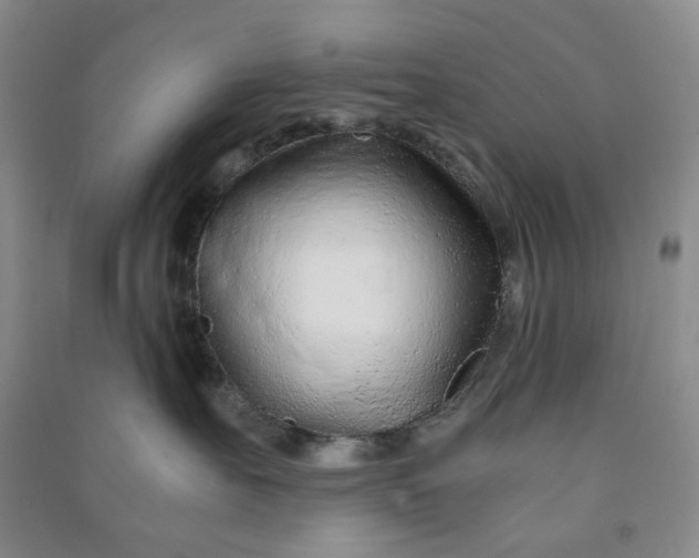 X0000090920527200708201809