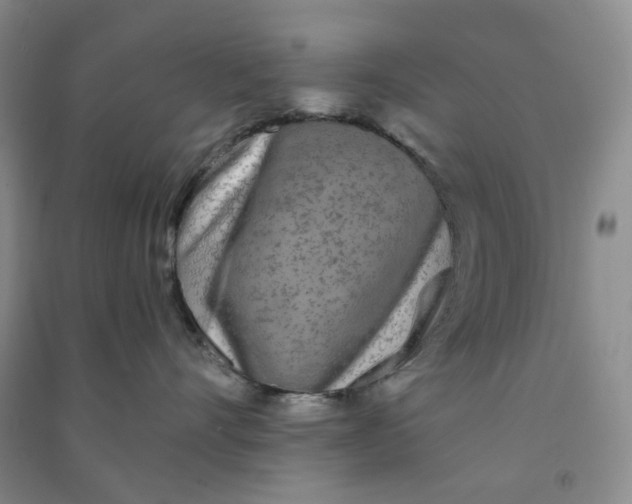 X0000090920528200708201809