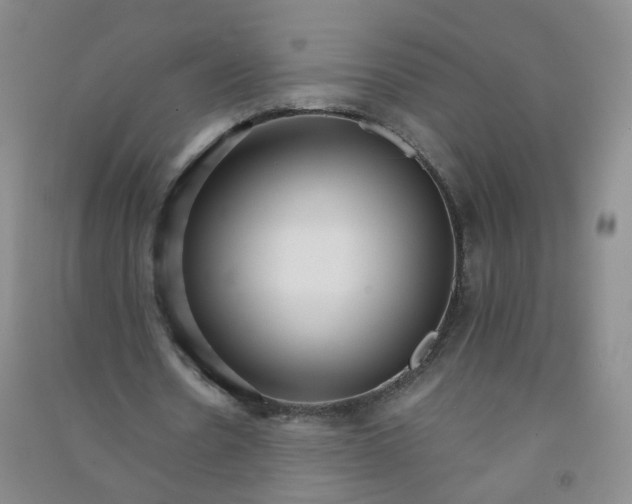 X0000090920530200708201808