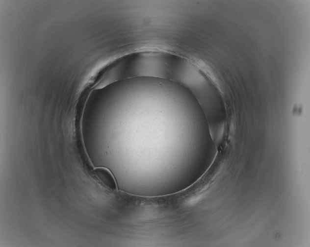 X0000090920531200708201808