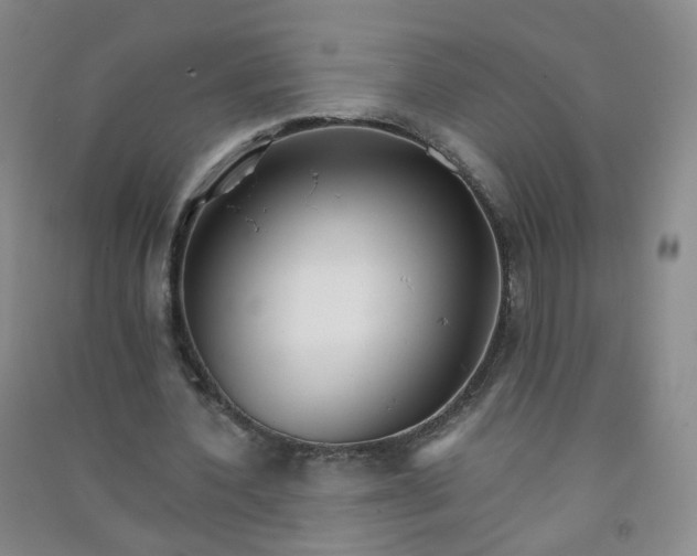 X0000090920532200708201808