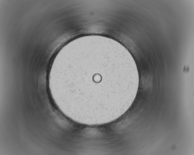 X0000090920534200708201808