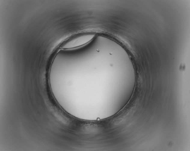 X0000090920535200708201808