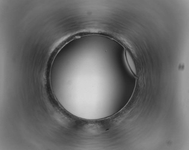 X0000090920536200708201808