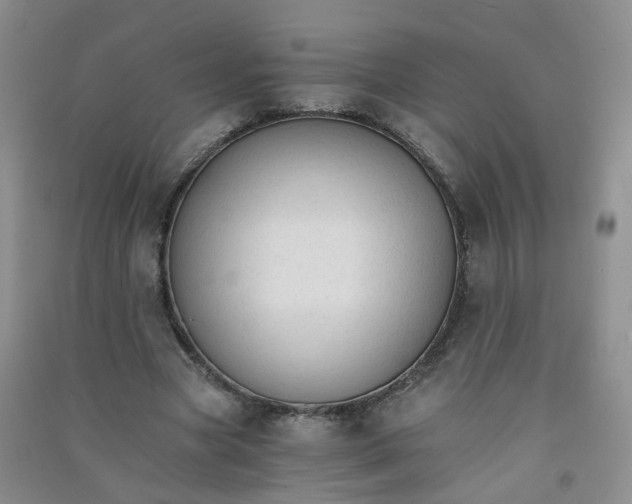 X0000090920537200708201808