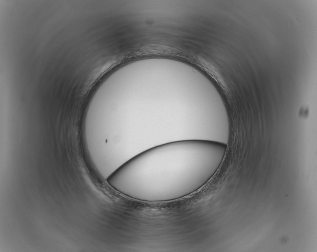 X0000090920538200708201808