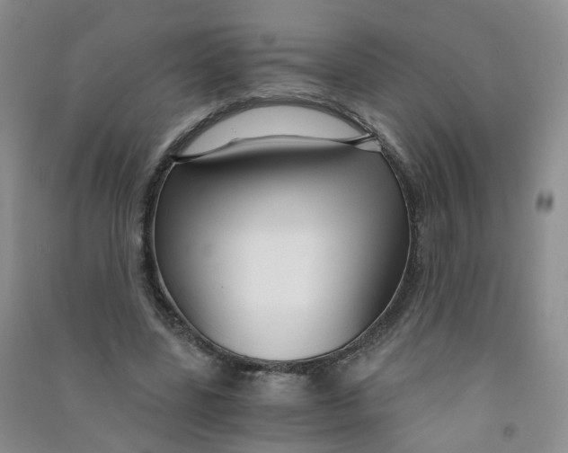 X0000090920539200708201808