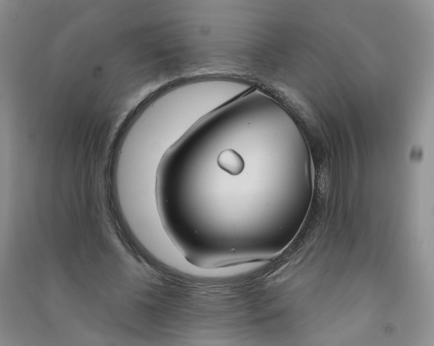 X0000090920540200708201808