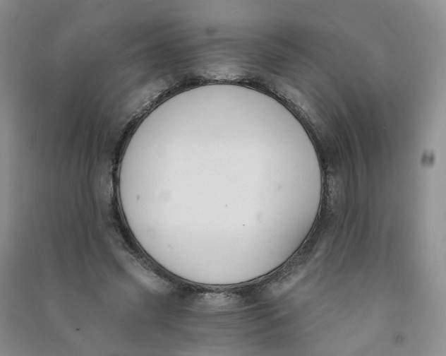 X0000090920541200708201808