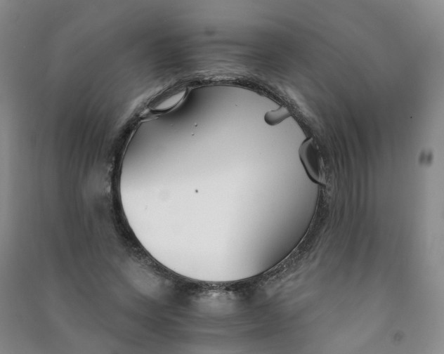 X0000090920543200708201808