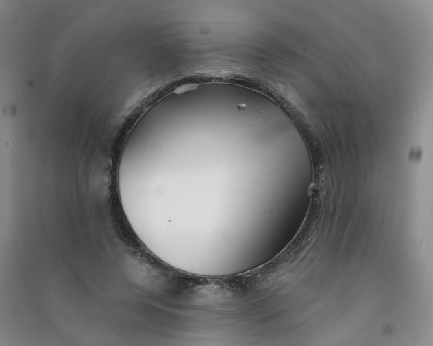 X0000090920544200708201808