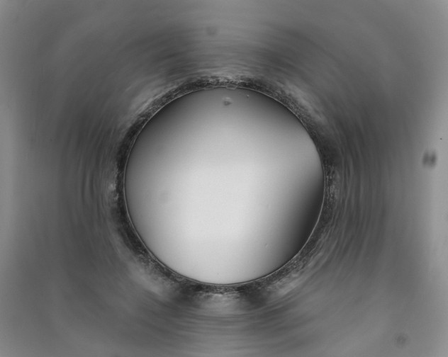 X0000090920548200708201808