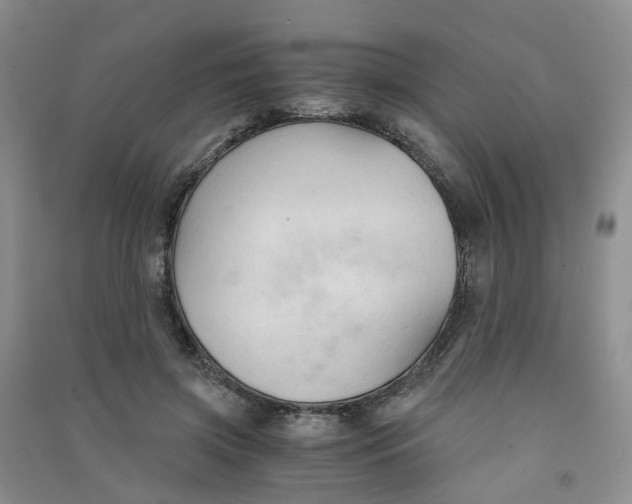 X0000090920549200708201808