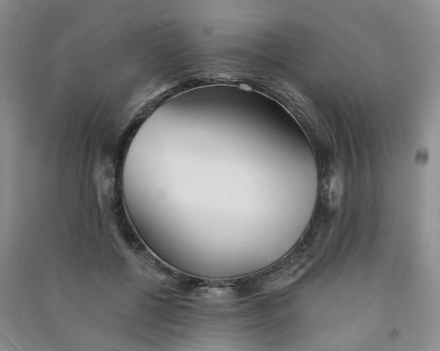 X0000090920552200708201808