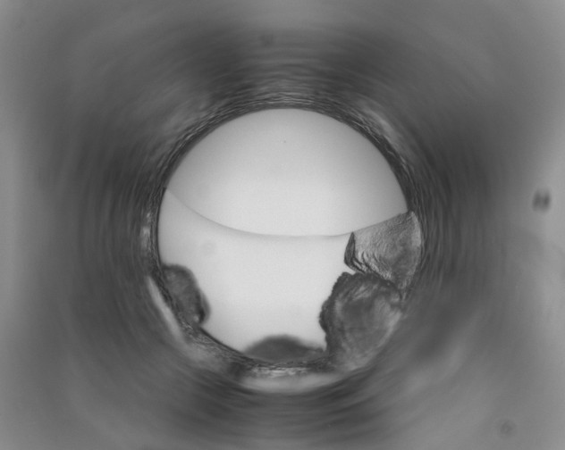 X0000090920553200708201808