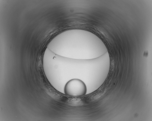 X0000090920554200708201808