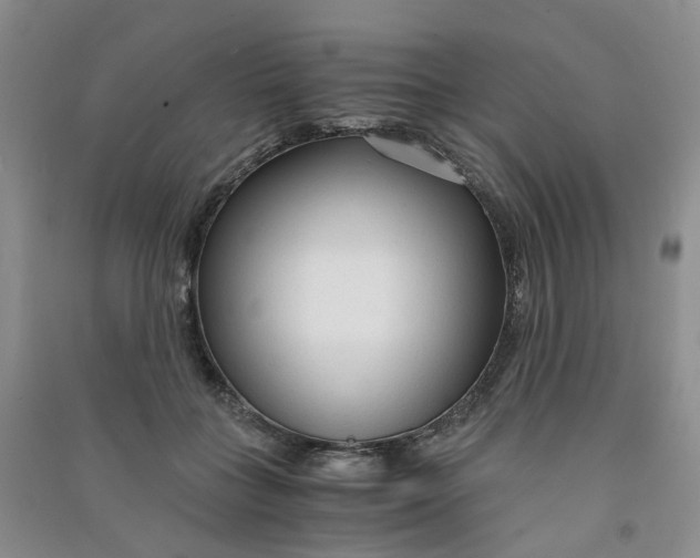 X0000090920555200708201808