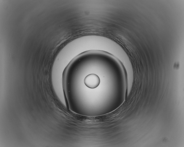 X0000090920556200708201808