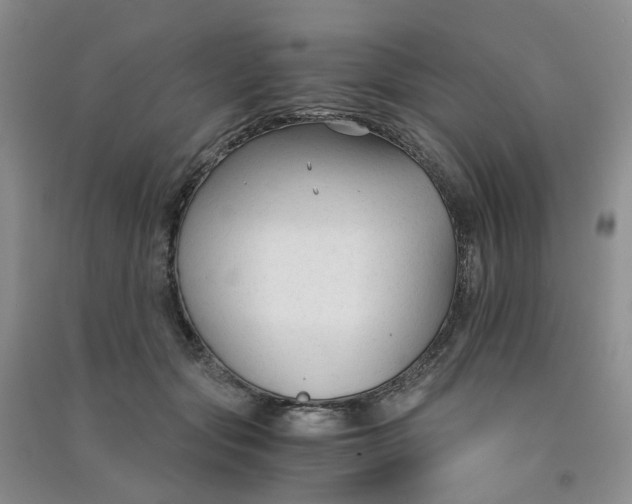 X0000090920557200708201808