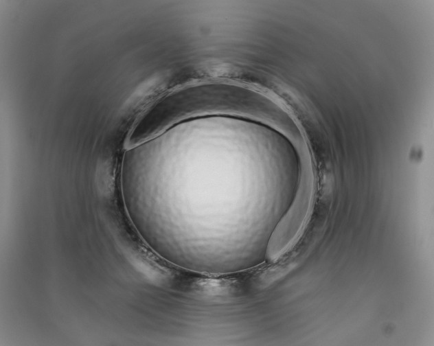 X0000090920558200708201808