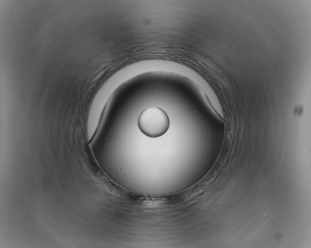 X0000090920560200708201808