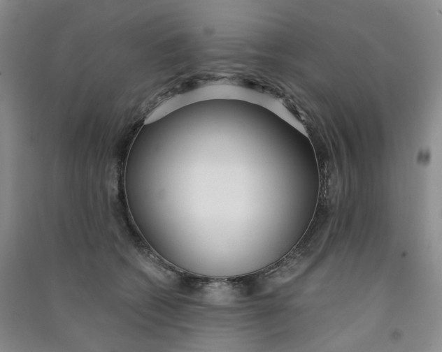 X0000090920562200708201808