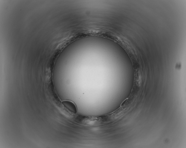 X0000090920563200708201808