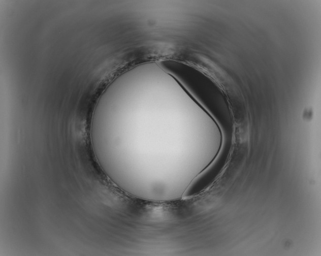 X0000090920564200708201809