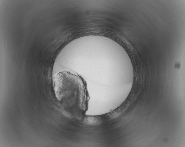 X0000090920565200708201809