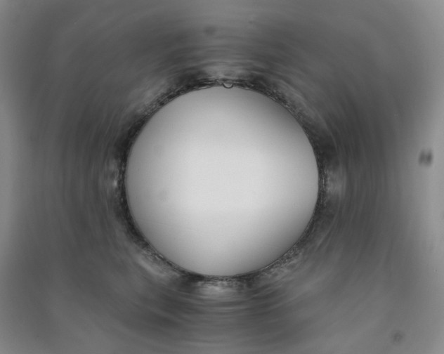 X0000090920567200708201809