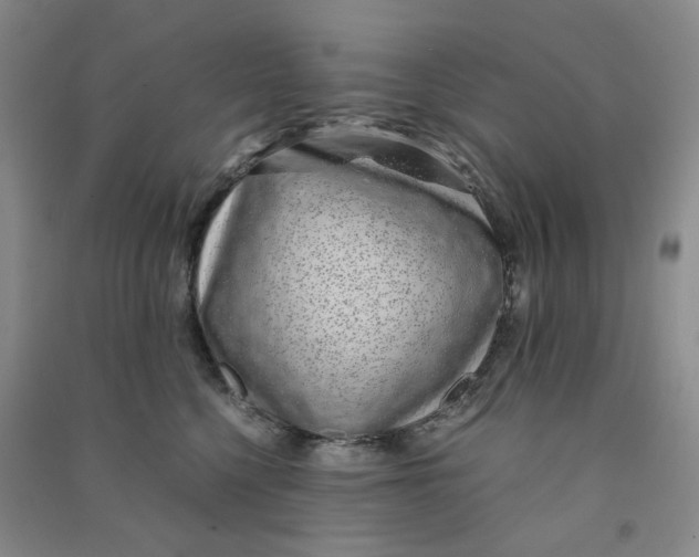 X0000090920568200708201809