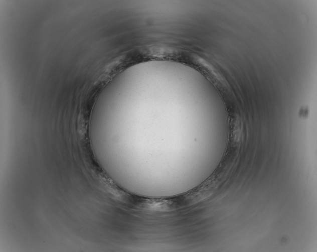 X0000090920569200708201809