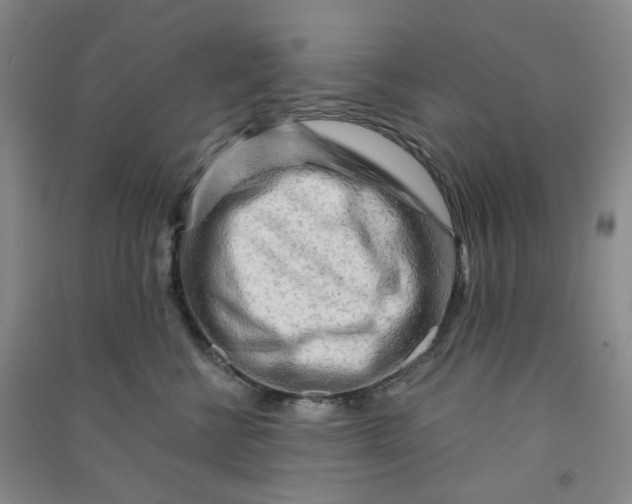 X0000090920570200708201809