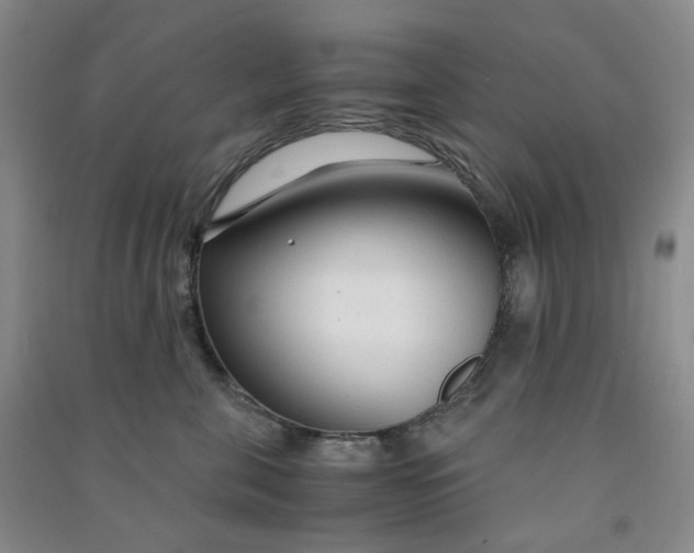 X0000090920571200708201809