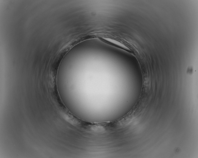 X0000090920572200708201809