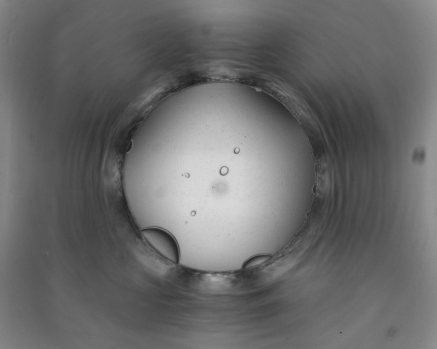 X0000090920573200708201809