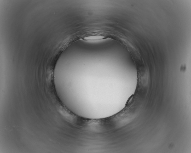 X0000090920574200708201809