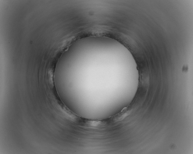 X0000090920575200708201809